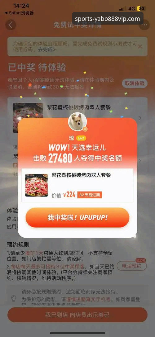 yabo888vip手机登录到底有哪些独特优势？用户大鹏的真实体验告诉你答案