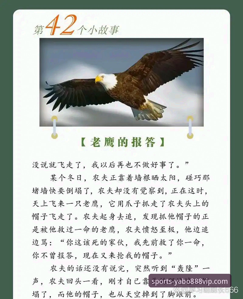 yabo888vip官方app安全吗 资深体育迷亲历:麦科勒姆续约老鹰的幕后分析与平台实战心得